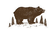 Brown bear symbol vector illustration