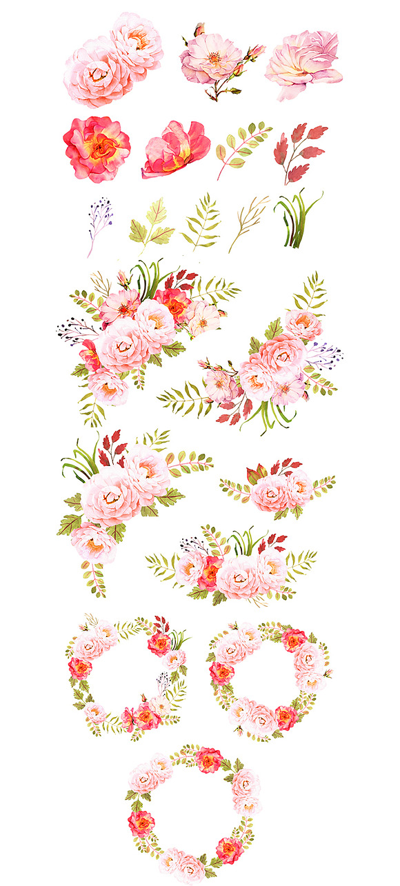 Roses watercolor boho clip art in Illustrations - product preview 1
