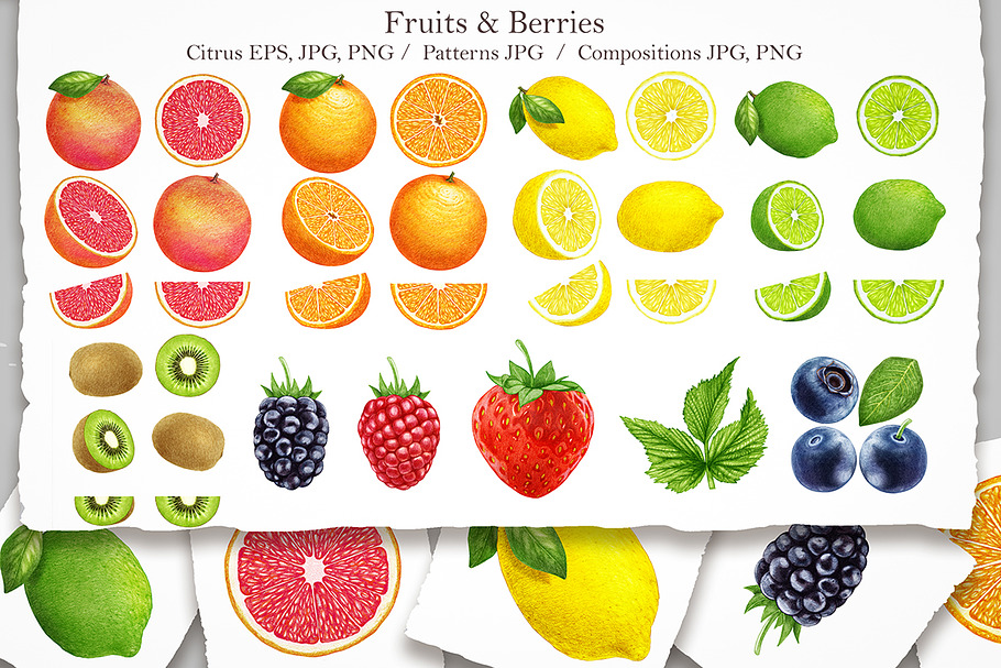 Fruits & Berries in Illustrations - product preview 8