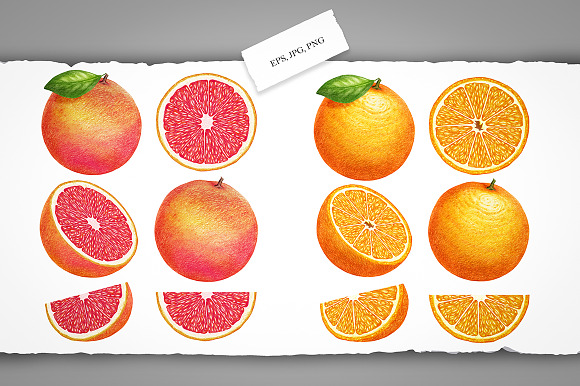 Fruits & Berries in Illustrations - product preview 2