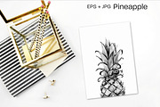 Pineapple. Hand drawn vector