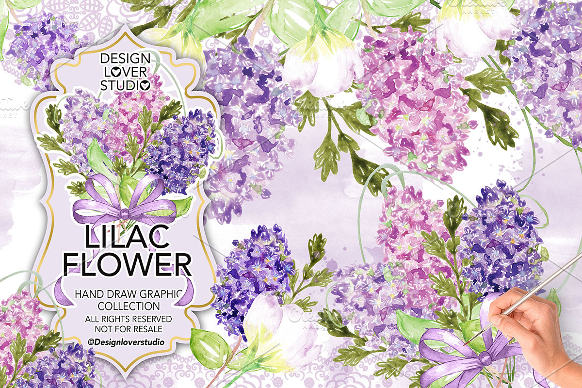 Watercolor Lilac design in Illustrations - product preview 8