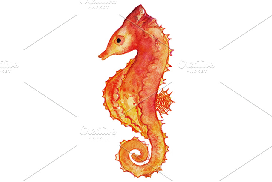 Watercolor seahorse clip art vector in Illustrations - product preview 8