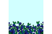 Blue berry Bush blueberries