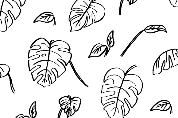 Swiss Cheese Plant Leaves + Pattern in Illustrations - product preview 1