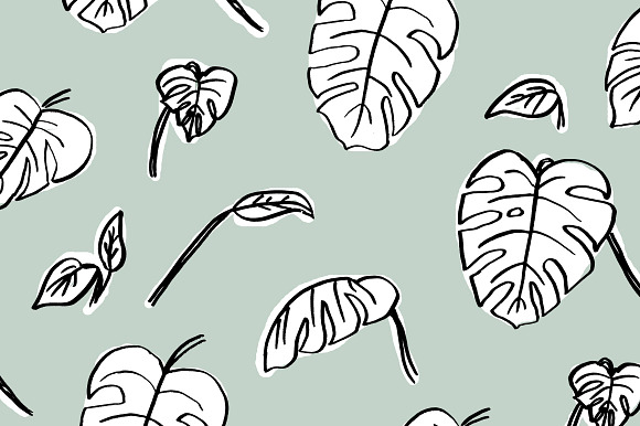 Swiss Cheese Plant Leaves + Pattern in Illustrations - product preview 2