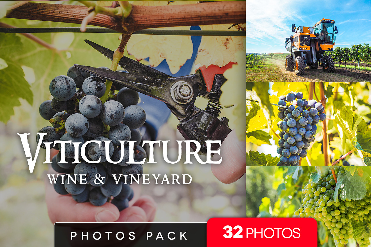 Viticulture /32 pics in Add-Ons - product preview 8