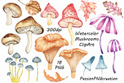 Watercolor mushrooms clipart