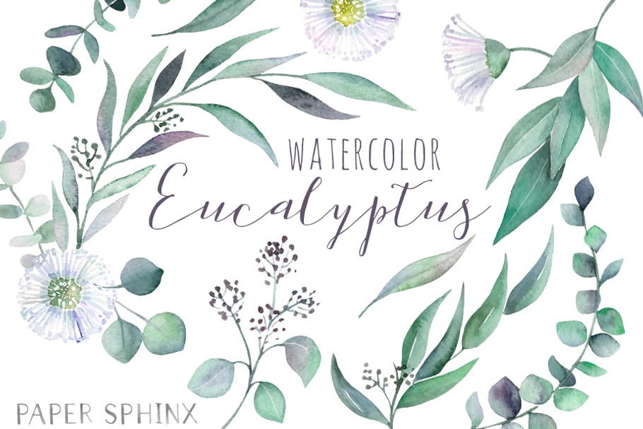 Watercolor Eucalyptus Leaf Pack