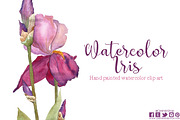 Watercolor iris clip art 