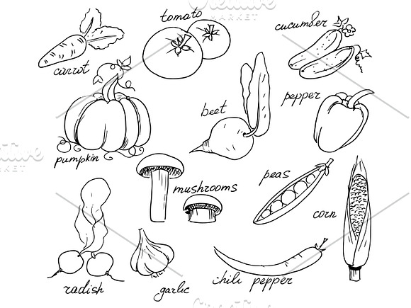Vegetables set in Illustrations - product preview 1