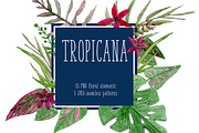 Tropicana Set Exotic Flowers