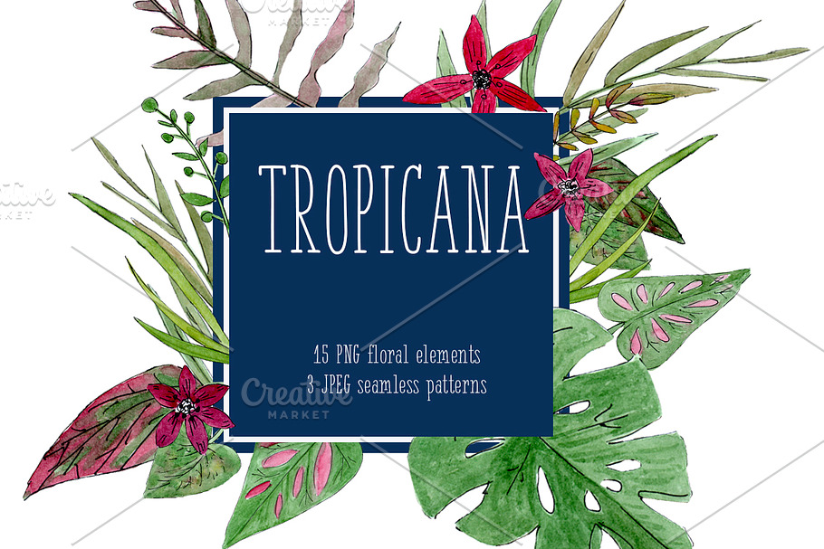 Tropicana Set Exotic Flowers in Illustrations - product preview 8