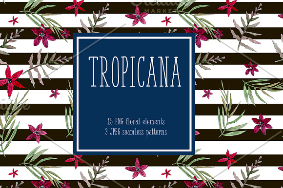 Tropicana Set Exotic Flowers in Illustrations - product preview 1