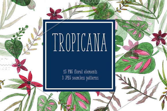 Tropicana Set Exotic Flowers in Illustrations - product preview 2