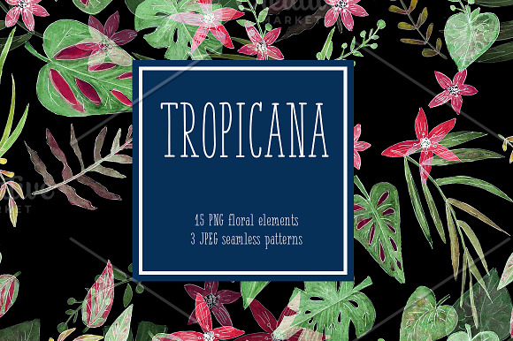 Tropicana Set Exotic Flowers in Illustrations - product preview 3