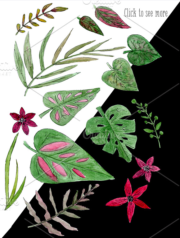 Tropicana Set Exotic Flowers in Illustrations - product preview 4