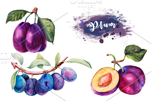 Set Watercolor Fruits And Vegetables in Objects - product preview 1