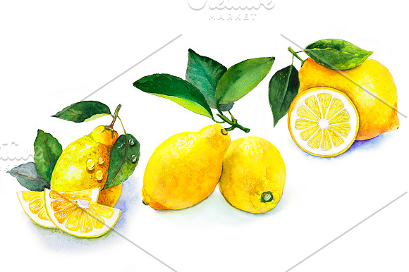 Set Watercolor Fruits And Vegetables in Objects - product preview 6
