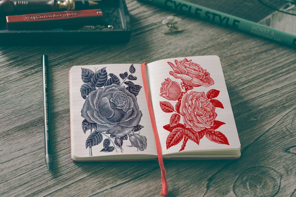 70 Vintage Rose Illustrations in Illustrations - product preview 8