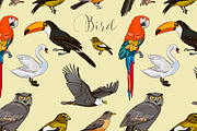 Bird collection pattern