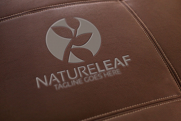 Nature Leaf Logo in Logo Templates - product preview 1