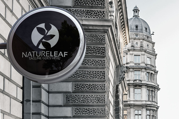 Nature Leaf Logo in Logo Templates - product preview 2