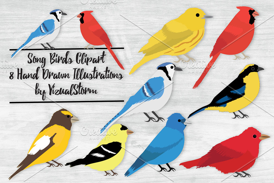 Song Bird Illustrations in Illustrations - product preview 8
