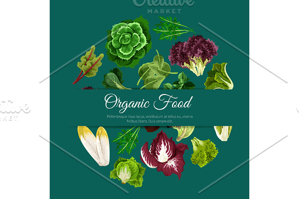 Leafy salads vegetables vector poster