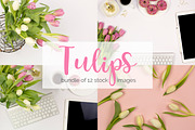 Tulips: Feminine Styled Stock Bundle