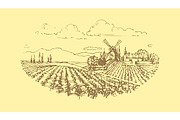 Vector hand drawn vineyard landscape.