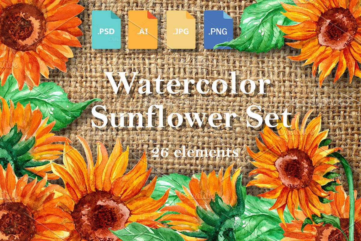 Watercolor Sunflower Set. in Objects - product preview 8