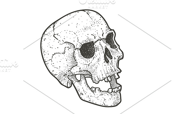 Outstream | Abstract Dotwork Skulls in Illustrations - product preview 4
