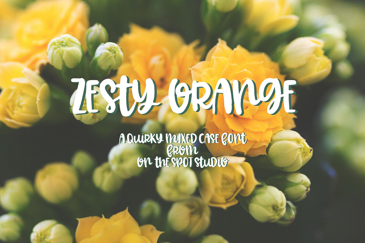 Zesty Orange in Display Fonts - product preview 8