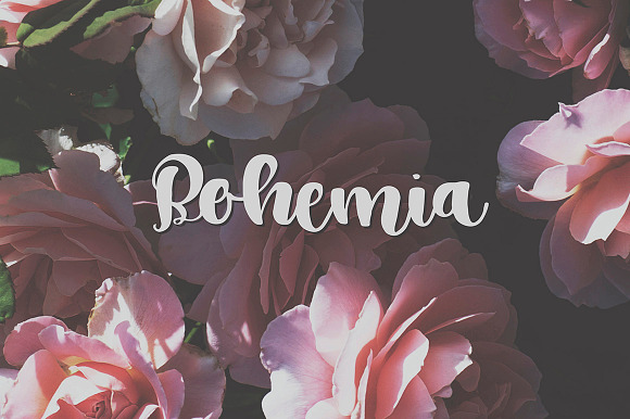 Bohemia in Script Fonts - product preview 3