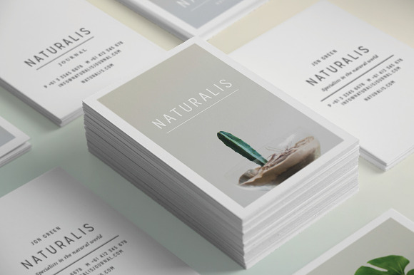 NATURALIS Business Card Template in Business Card Templates - product preview 1