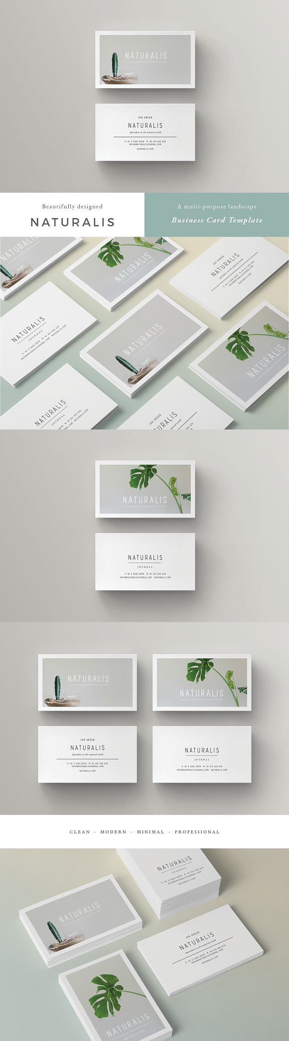 NATURALIS Business Card Template in Business Card Templates - product preview 4
