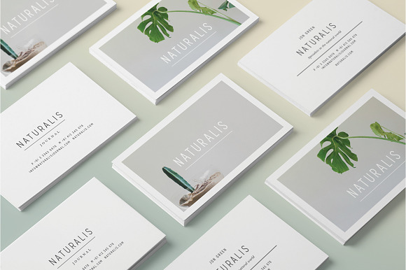 NATURALIS Business Card Template in Business Card Templates - product preview 5