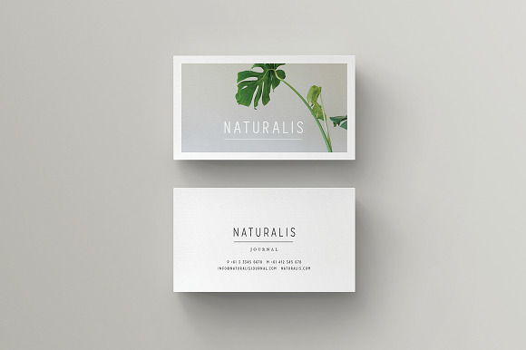 NATURALIS Business Card Template in Business Card Templates - product preview 6