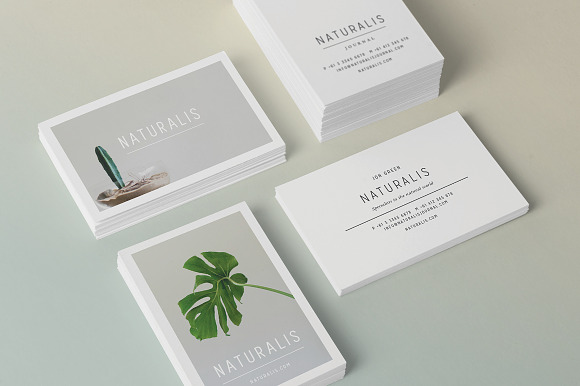 NATURALIS Business Card Template in Business Card Templates - product preview 8