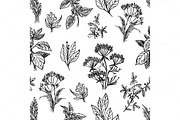 Sketch herbs and flowers seamless pattern
