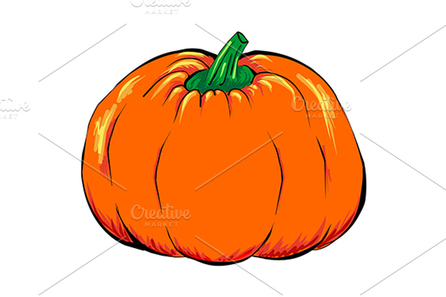 Orange pumpkin vegetable vector in Illustrations - product preview 8