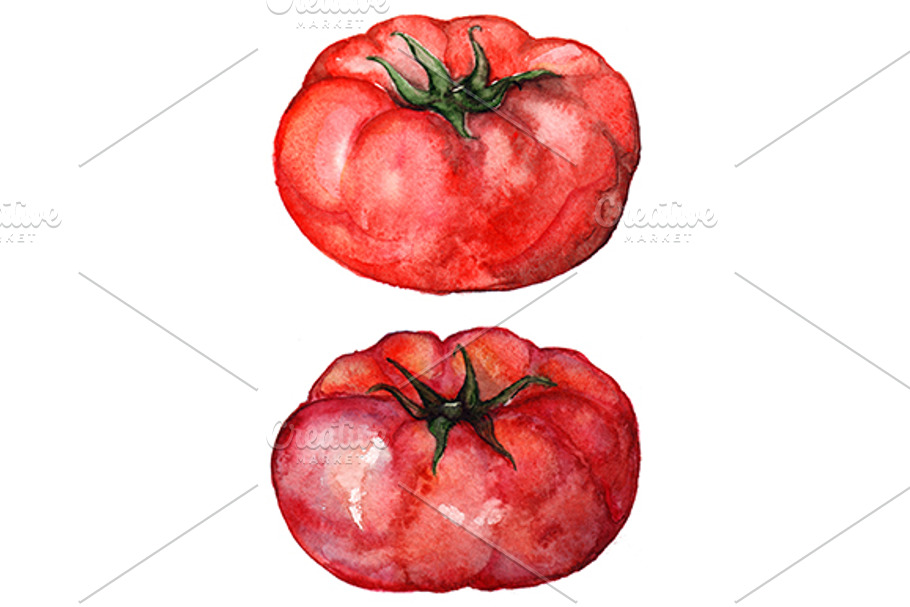 Watercolor tomato vegetable set in Illustrations - product preview 8