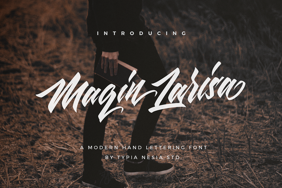 Maqin Larisa - Logo Font in Display Fonts - product preview 8