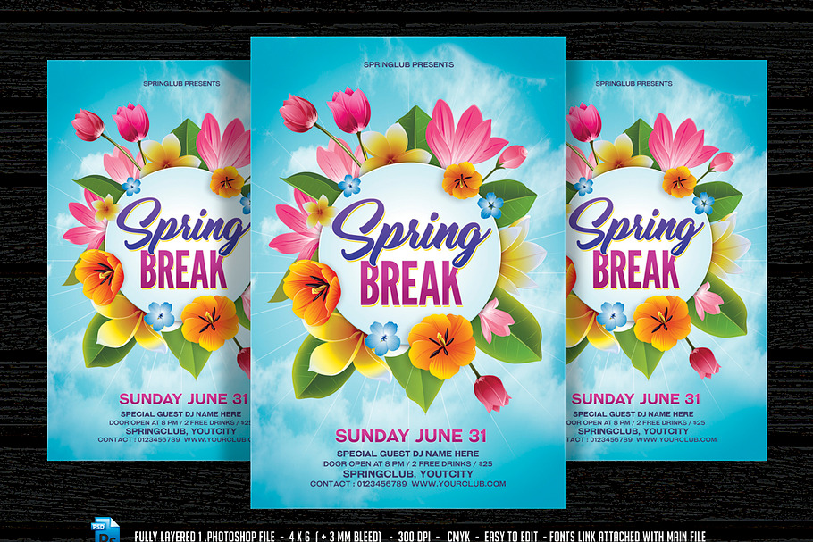 Spring Break Flyer in Flyer Templates - product preview 8