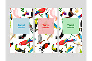 Parrot flyers collection with birds patterns