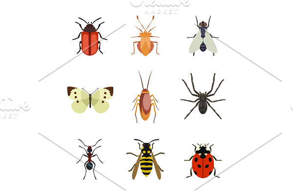 Insect icon flat isolated nature flying butterfly beetle ant and wildlife spider grasshopper or mosquito cockroach animal biology graphic vector illustration.