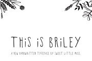 Briley Typeface