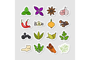 Herbs and spices vector stickers
