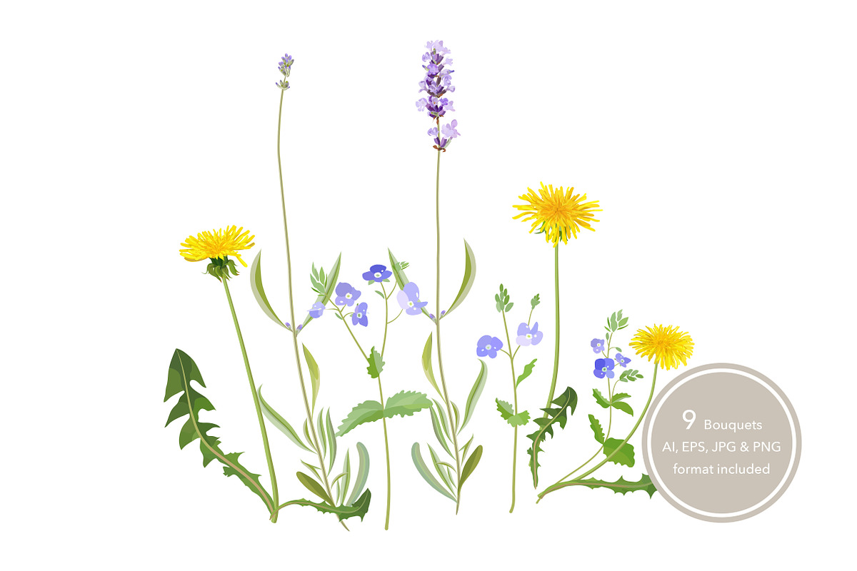 Spring Wildflowers in Illustrations - product preview 8